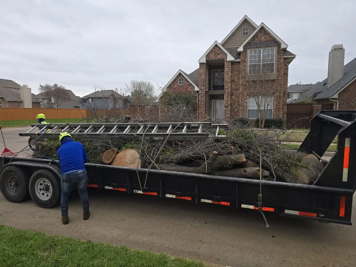 Expert Lot Clearing with proper safety equipment in Lind